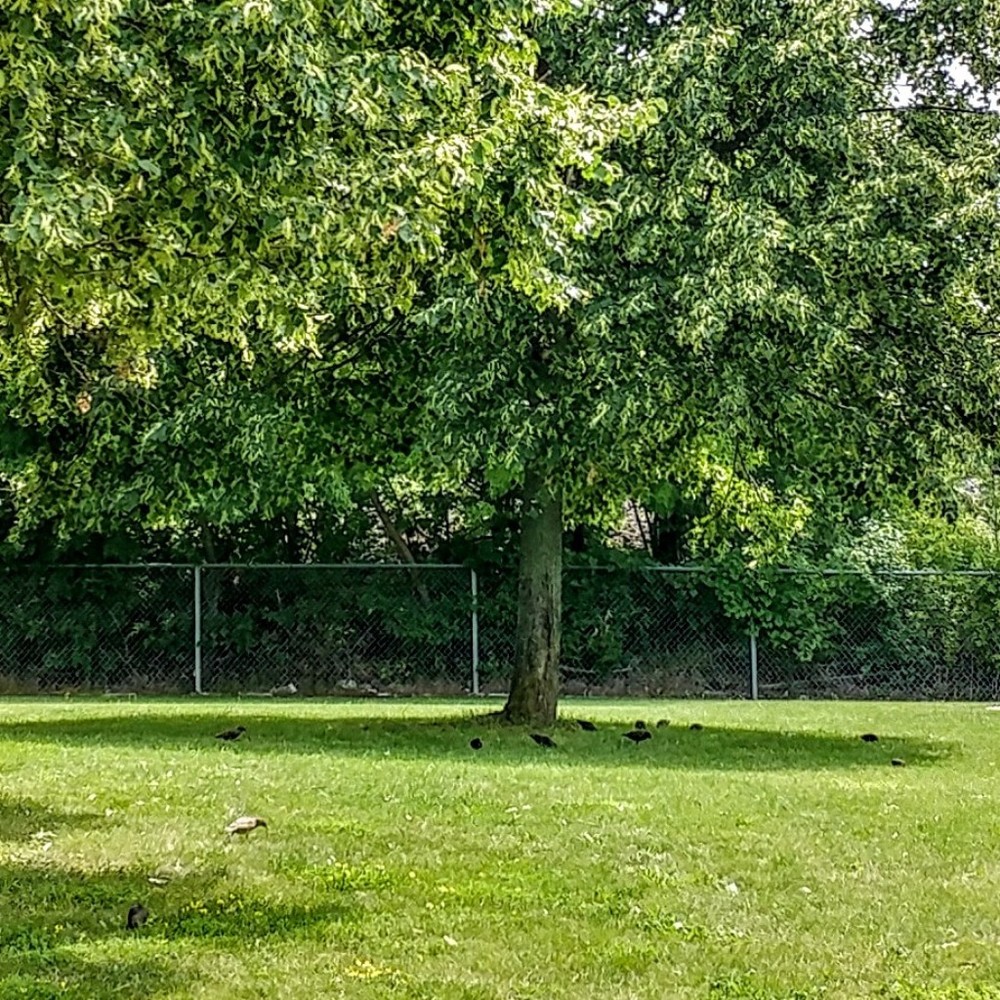 Meet your Posher, Teri